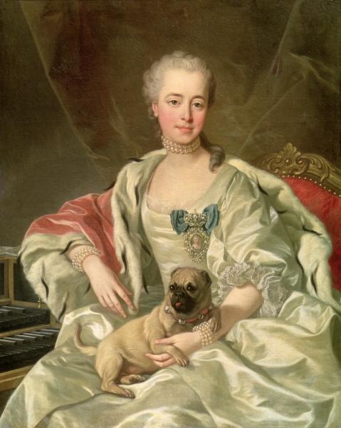Louis Michel van Loo Portrait of Princess Ekaterina Dmitrievna Golitsyna Sweden oil painting art